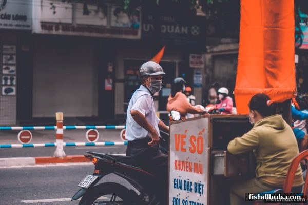 轮盘与彩票破局推广：捕鱼达人下载式流量转化与合规运营新路径