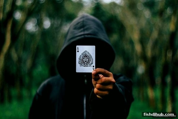 捕鱼达人下载带你解锁WPT扑克胜率核心法则