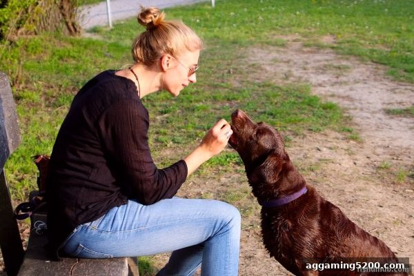 捕鱼达人下载玩家必读：签到福利领取与提款手续费全攻略