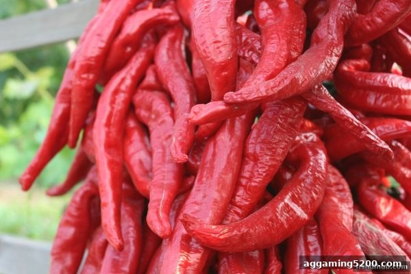 水果机娱乐新纪元：捕鱼达人下载平台带你解锁经典玩法升级版