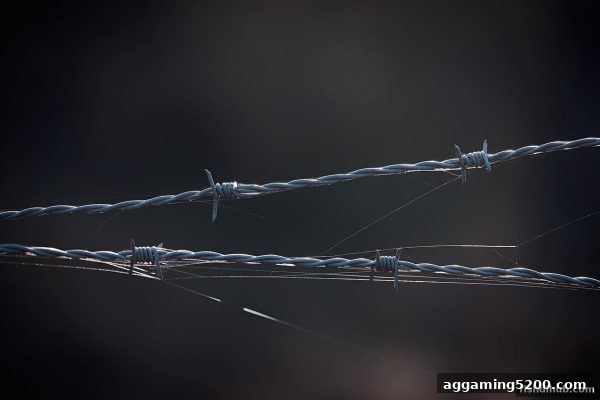 捕鱼达人下载玩家必看：JILI游戏牌照真相与合规验证全解析