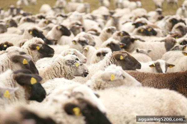 世界杯赛事热度的多维构成：捕鱼达人下载带你洞悉竞技、互动与数据趋势